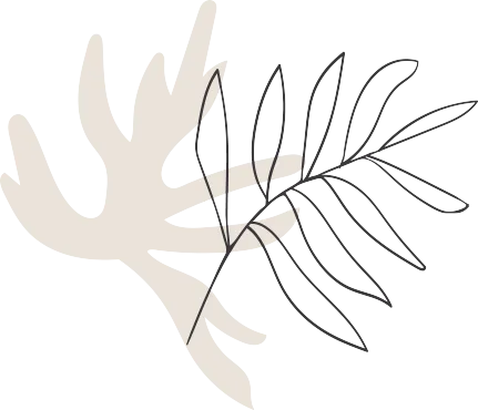 contact-2-shape-1 contact-2-shape-1