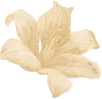 gift-card-1-f
